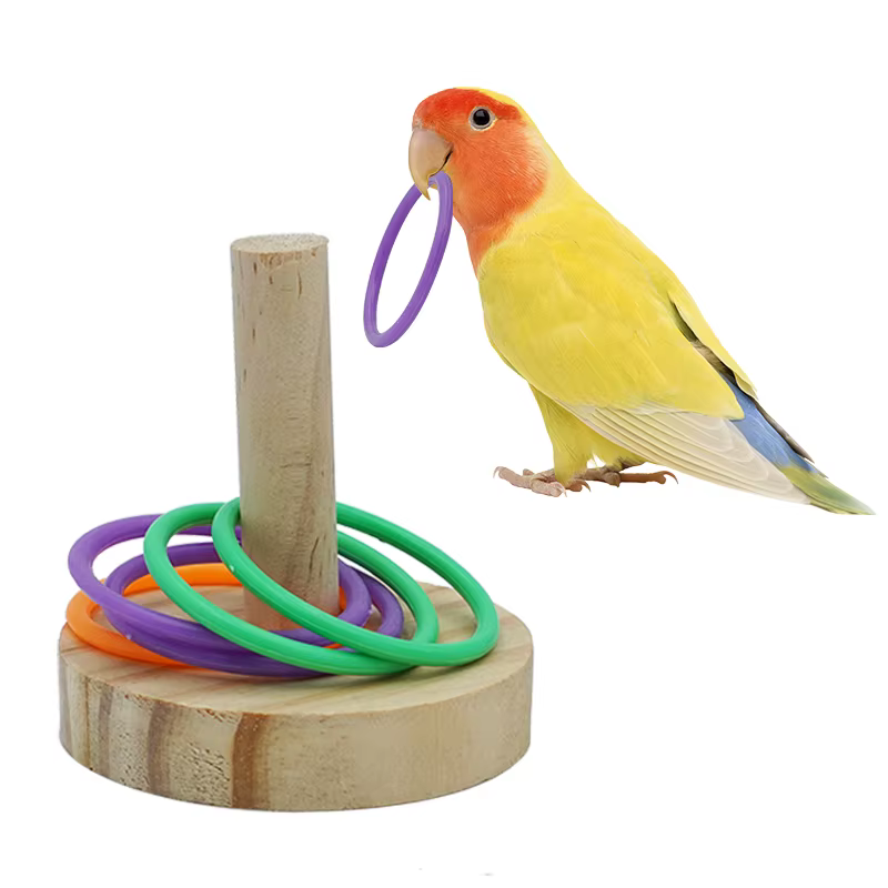 Juguetes para Loros: Bocado de Mordida y Colgante Inteligente — imagen 5