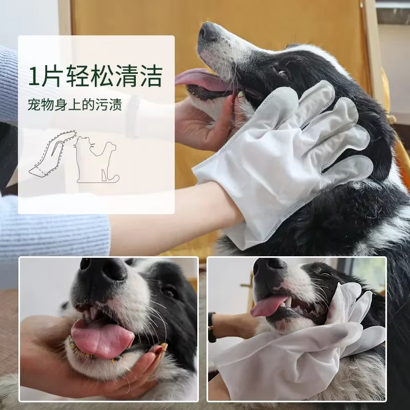 6PCS Cat Dog Disposable Glove Towels Pet Wash Free Glove No Rinse Washing Gloves Towels Deodorizing Dry Cleaning Wet Towels — image 4