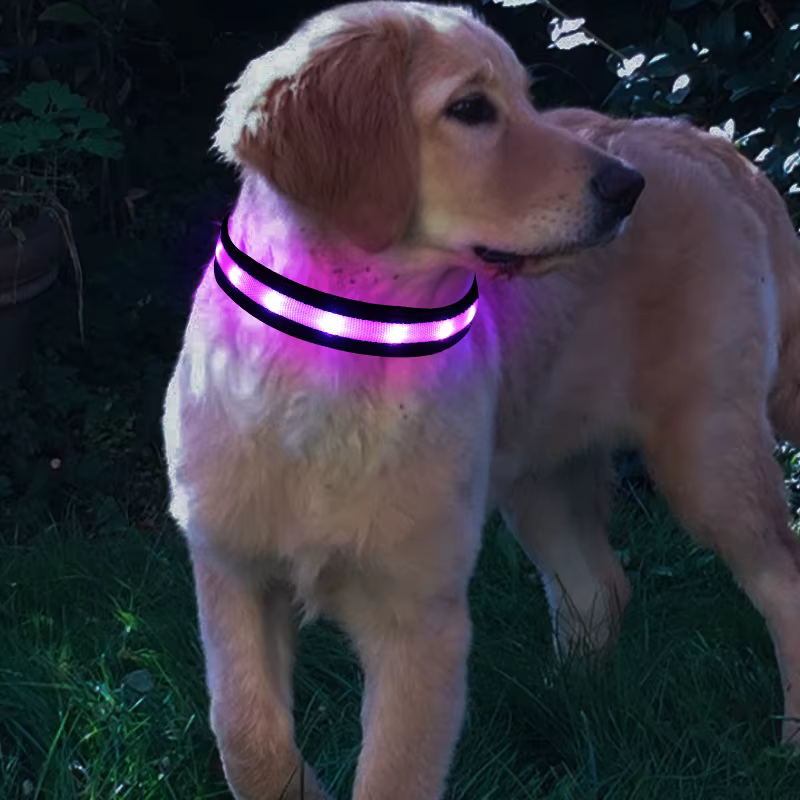 Nylon LED Pet Dog Collar, Night Safety Flashing Glow In The Dark Dog Leash, Dogs Luminous Fluorescent Collars Pet Supplies 4.7 — image 5
