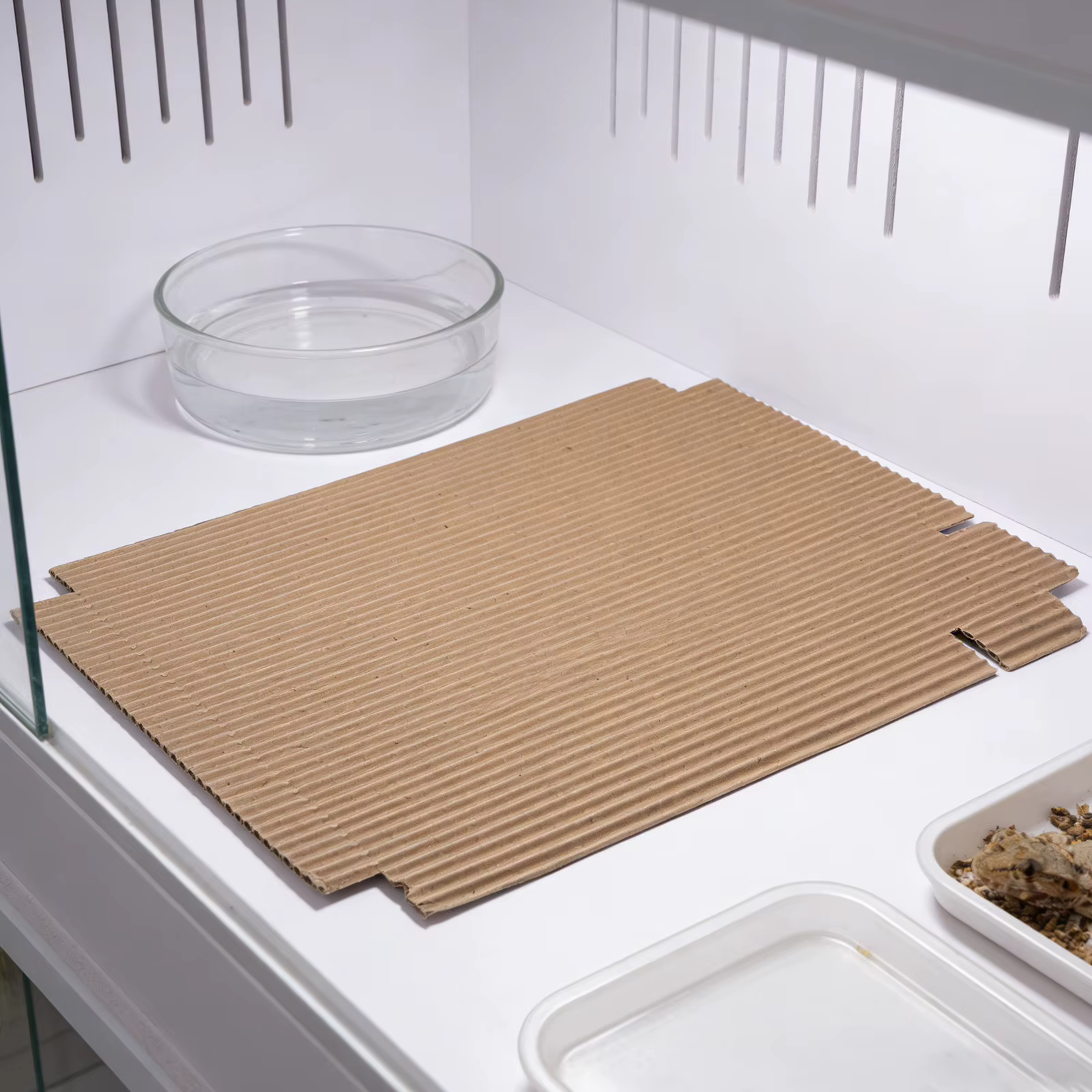 100 Piezas de Línea para Terrario de Reptil 12.2x8.3 Pulgadas Materiales Corrugados de Cartón para Hábitat de Dragones Barbudos, Serpientes, Lagartos y Geckos — imagen 6