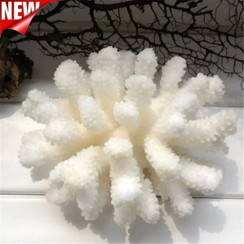 10-12 Coral Natural 100% para Decoración de Acuario, Decoración para Peces, Ornamentos de Paisajismo para Acuario, Decoración del Hogar — imagen 1