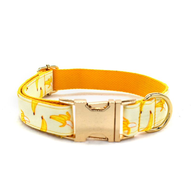 Collar de Trazo Amarillo para Perros con Cuerda de 1.5m y Broche de Oro Personalizable — imagen 2