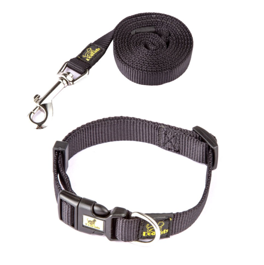 New Dog Nylon Collar (Including Leash) Set European And American Fashion Pet Supplies — image 5
