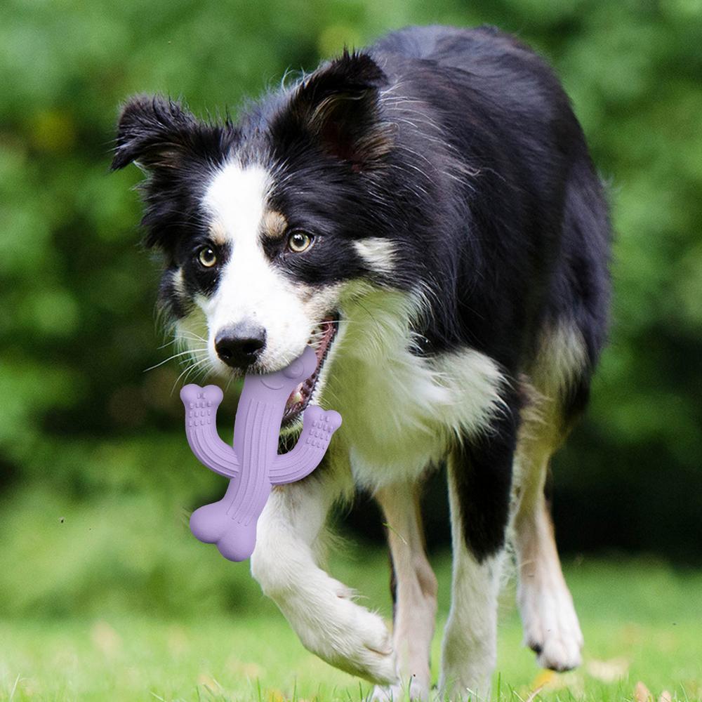 Juguetes de masticación para perros de cactus Ultra duraderos juguetes interactivos para perros resistentes a la destrucción Juguetes para perros contra la aburrición — imagen 4