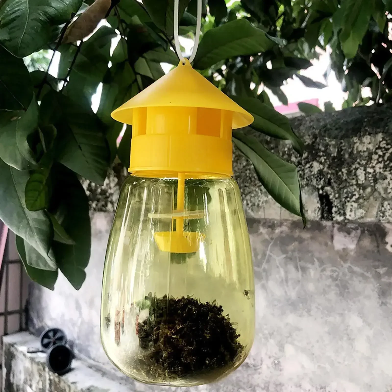 Presa de Moscas de Frutas Plástico Cazador Trampa para Drosófilas Control de Plagas — imagen 1