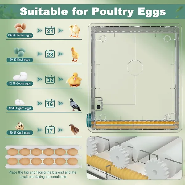 36 Eggs Incubators For Hatching Eggs, Egg Incubator With 4 Automatic Incubate Mode, Chicken Incubator With Automatic Egg Turning Humidity Monitoring, Poultry Egg Incubator With Egg Candle — image 4