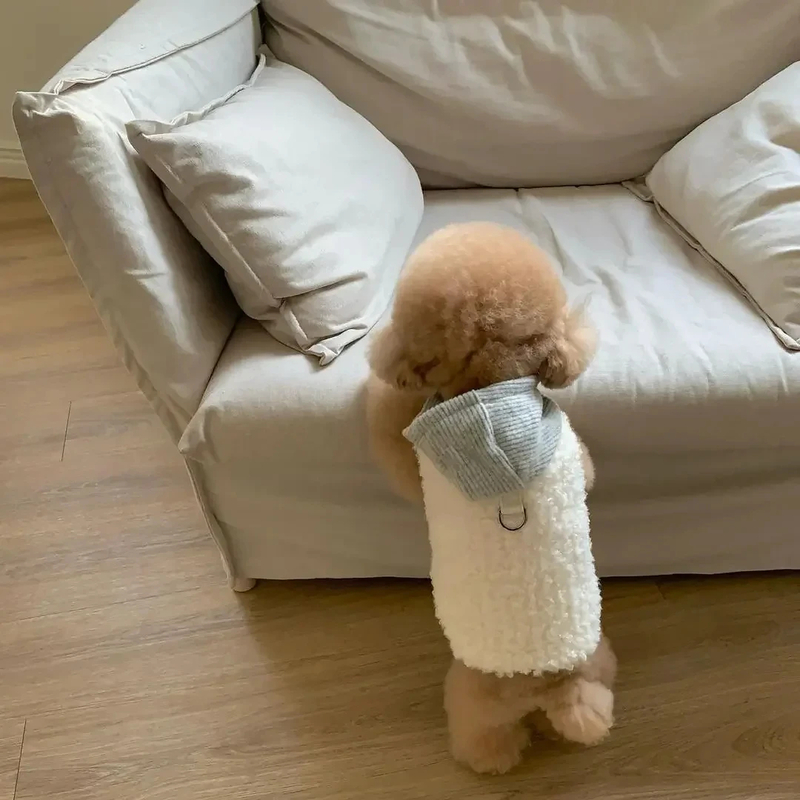 Pet Two-legged with Hat Coat Fashion Design Small Medium Dog Winter Warm Costumes Puppy Pet Cotton Clothes Chihuahua Vest — image 8