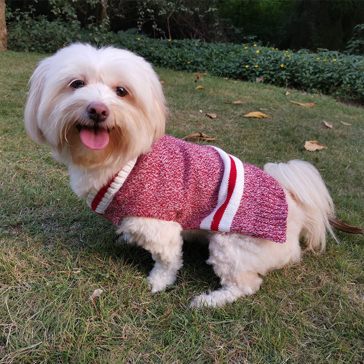 Dog Sweater Pet Knit Sweater Mixed Color Pet Sweater Pet Clothes — image 1