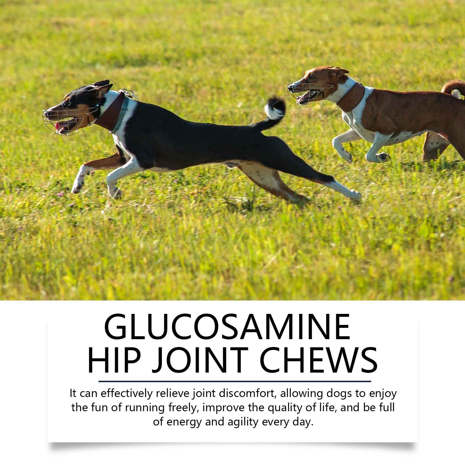 Suplementos para Articulaciones Caninas con Glucósamina y Quitina, Chews suaves de sabor a pollo para aliviar el dolor en las articulaciones y mejorar la movilidad — imagen 3