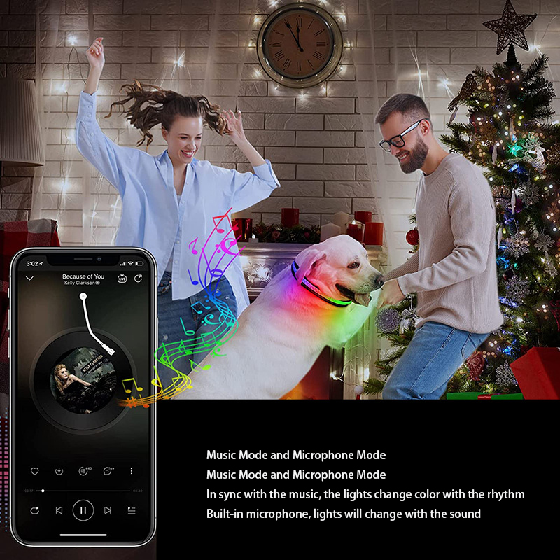 LED Pet Luminous Cat And Dog Collar USB Charging Phone APP Application Control — image 2