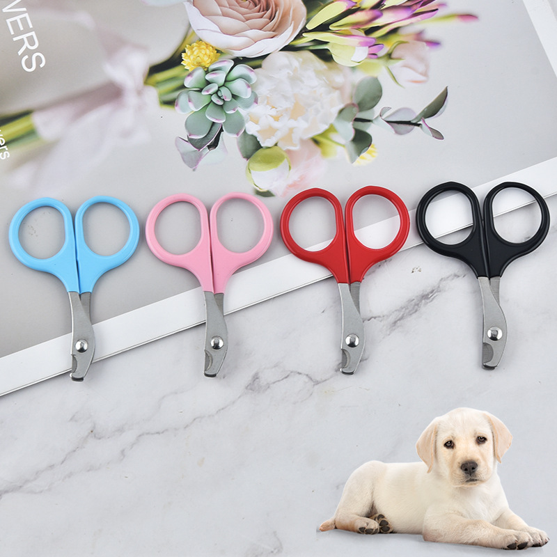 Stainless Steel Pet Nail Scissors Cat Dog Nail Scissors Beauty Cleaning Products Cat Dog Nail Scissors — image 2