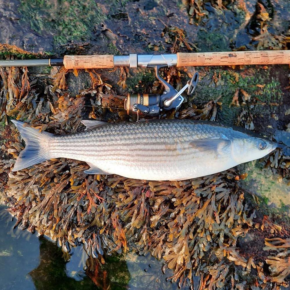 Set de 5 Piezas, Señuelo Duro Tipo Lápiz de Superficie con Cola Giratoria 13g 10cm, para Róbalo y Trucha en Agua Dulce y Salada — imagen 8