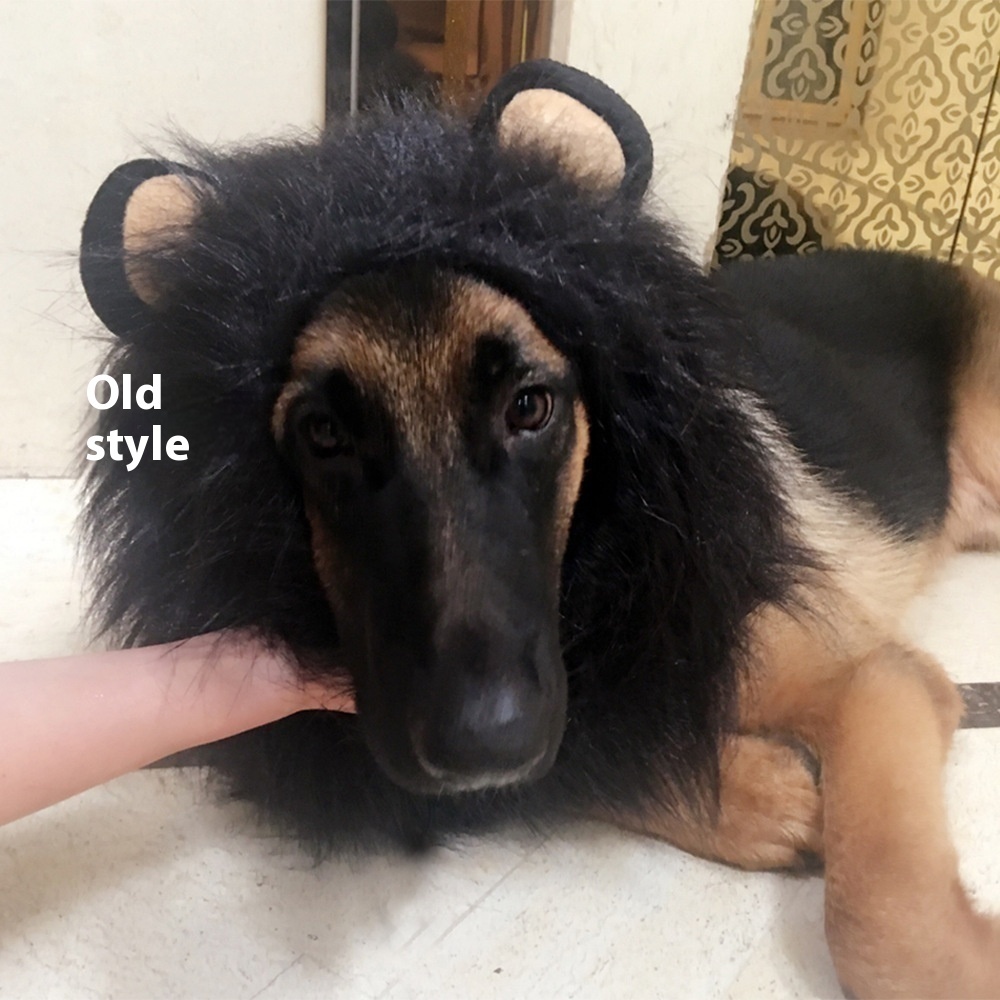 King Of The Jungle Pet Funny Lion Head Cover — image 6