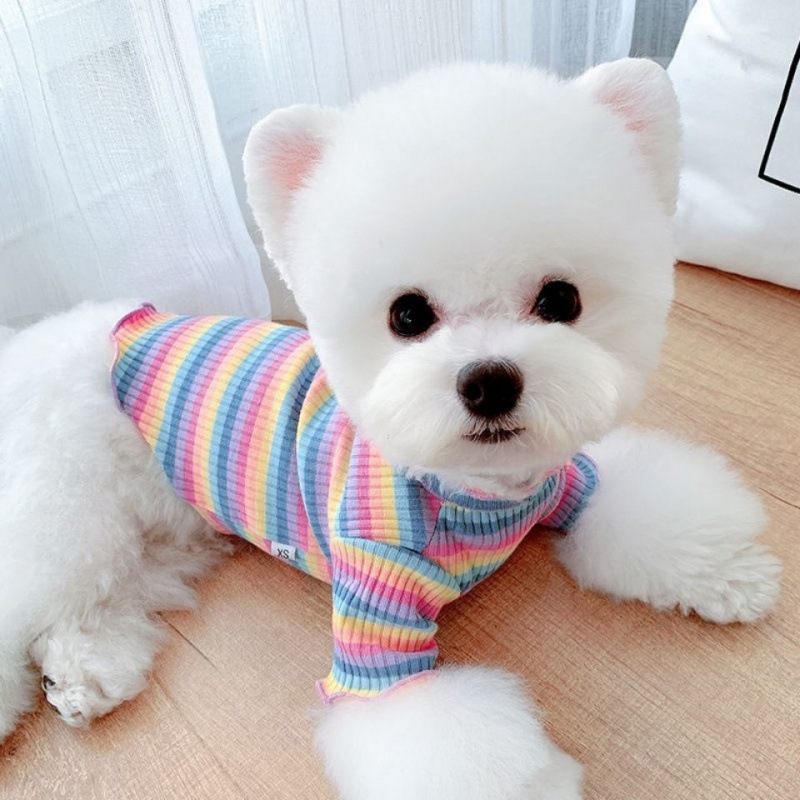 Rainbow Undercoat Dog Clothes Pet Clothes Cat Bears VIP Pomeranian Schnauzer Small Dog Clothes — image 2