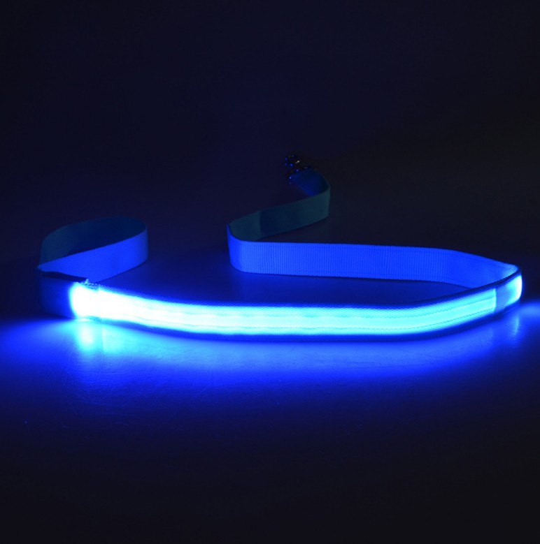 Pet Leash LED Light-Emitting Dog Leash 120CM Length 6 Colors — image 12