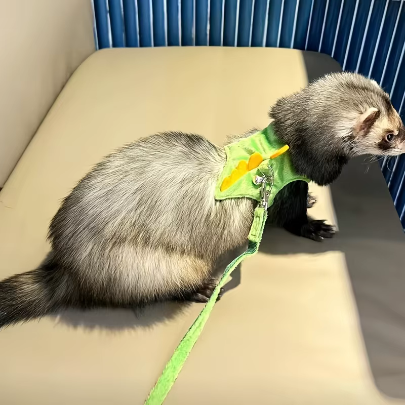 Ferret lead rope Vest type adjustable pet rope Cute dinosaur shape with bell for walking mice — image 5