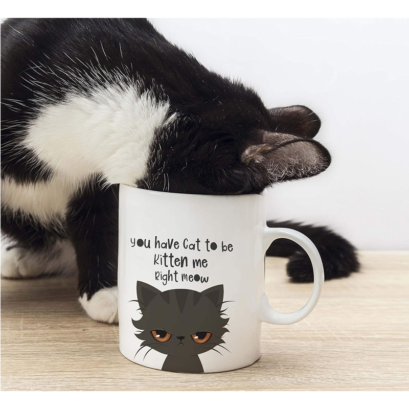 Taza de Café Divertida para Hombres y Mujeres - Tienes Gato que Debe Ser Un Gatito: Amantes de los Gatos Ríos en una Taza de Café y Té 325ml — imagen 4