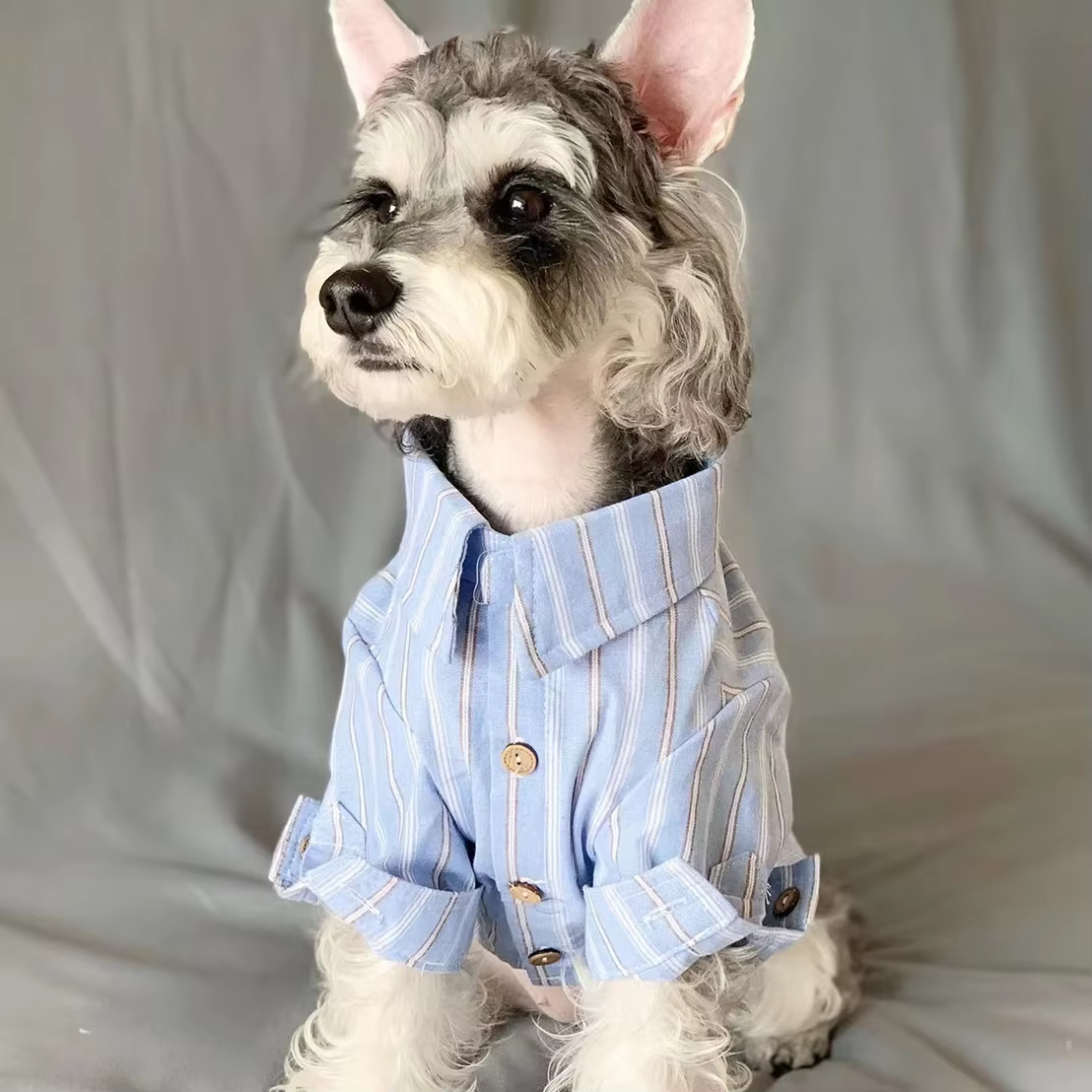 Ropa para Mascotas - Camiseta delgada rayada para perros y gatos — imagen 1