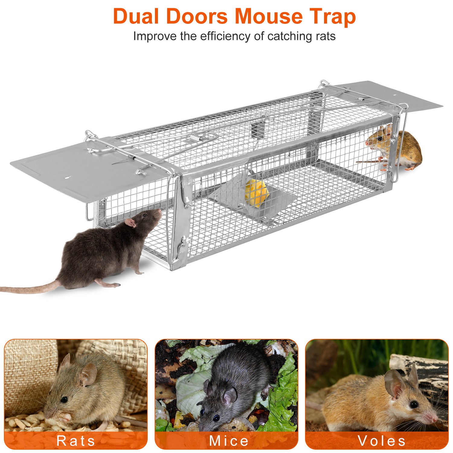 Cage de Rat con Dos Puertas Humano, Trampa para Roedores con Malla Densa y Electroplating de Zinc — imagen 6