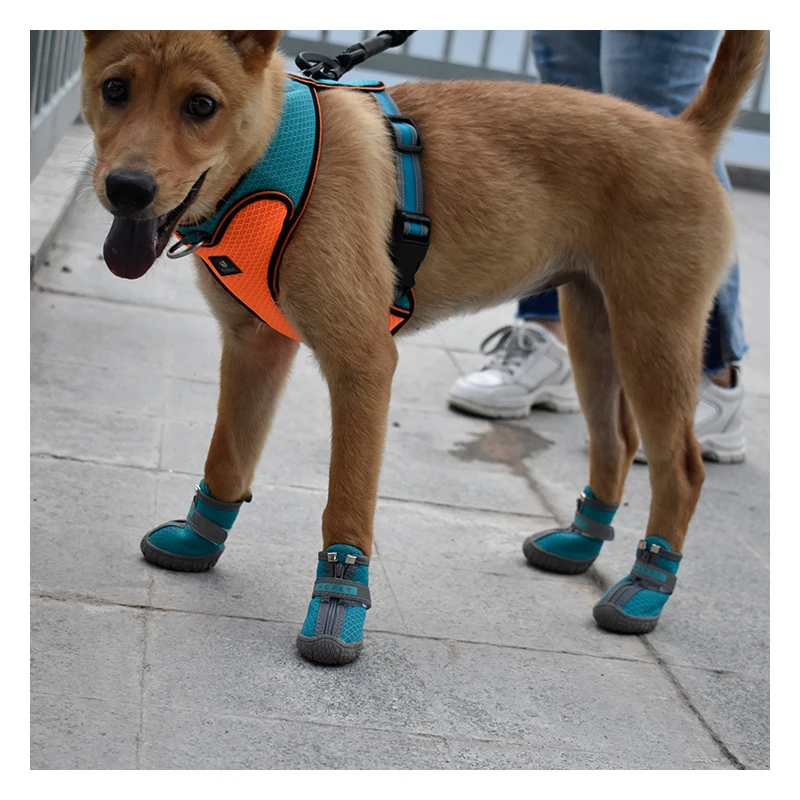 Zapatillas Respirables para Perros Pequeños Anti-Slip Zapatos de Verano con Reflejos para Chihuahuas Zapatos de Goma — imagen 6