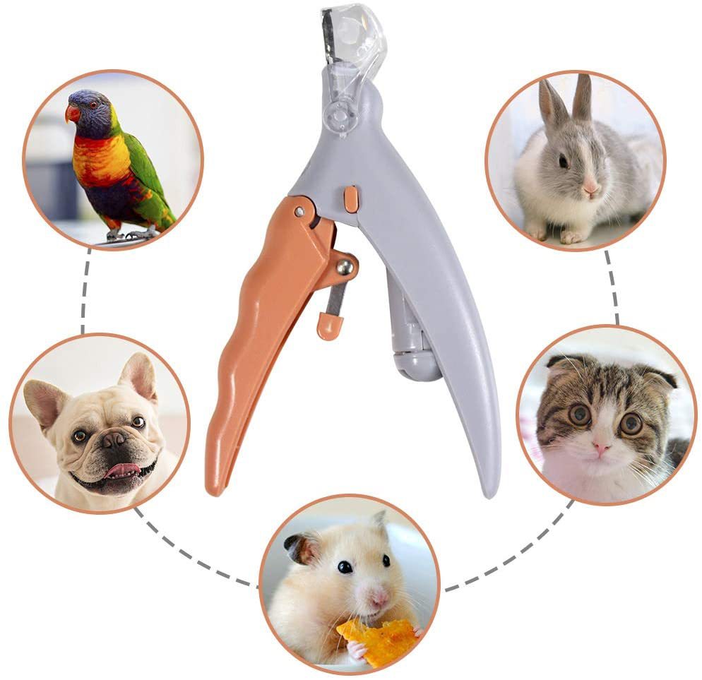 Peti Nail clipper Pet LED Lighted Nail Clipper Cat & Dog Cleaning Scissors Beauty Glow Nail Clipper — image 1