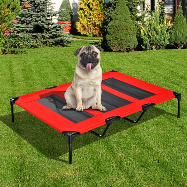 Pet Cages And Beds Will Not Be Provided On Weekends — image 1