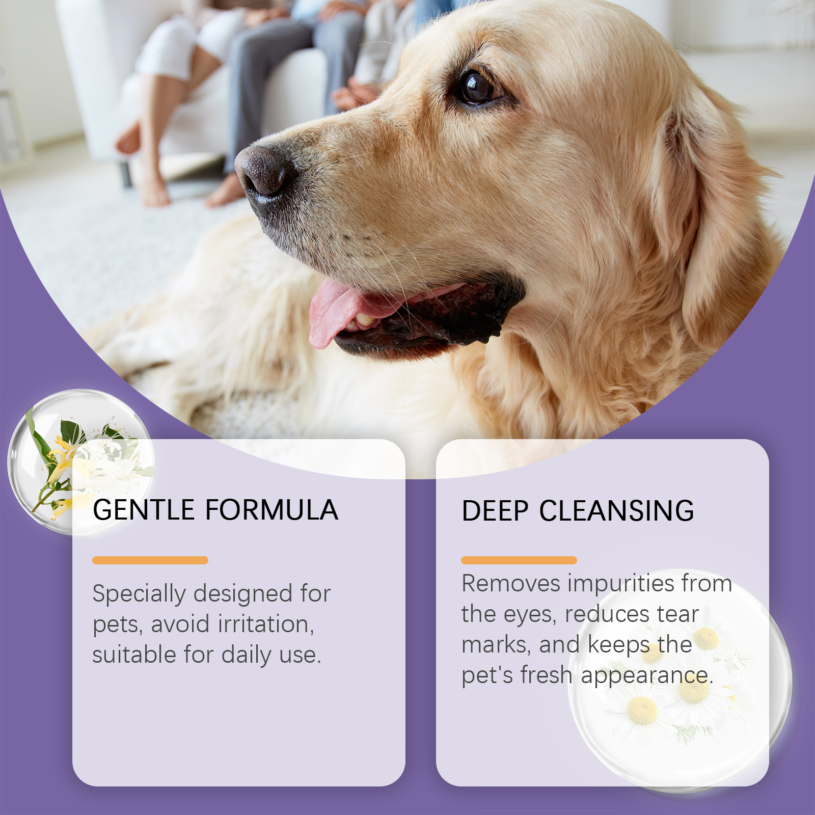 Limpieza Ocular Suave para Mascotas: Elimina Suciedad de los Ojos de Gatos y Perros con Cuidado — imagen 5