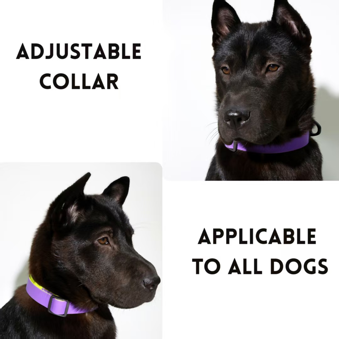 Set de Guía para Mascotas con Superficie Embossada en Miel y Dos Colores: Elegancia y Seguridad — imagen 12