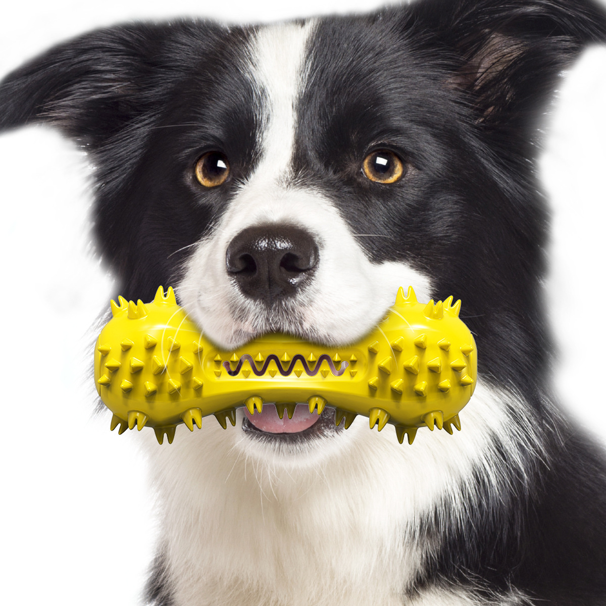 Dog Toothbrushes Dog Voice Molar Sticks Resistant To Gnawing Teeth Cleaning Bones Pet Toys — image 3