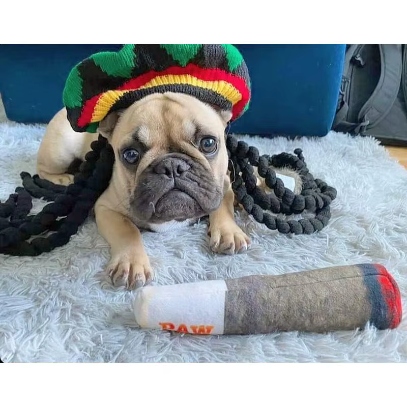 Dog toy - Funny Dog Toys - Plush Squeaky Toys for Medium, Small and Large - Cool Stuffed for Dog Birthday hj — image 5