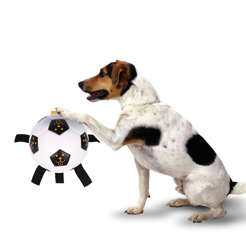 Pet Ball Toy Outdoor Interactive Football Dog Training Ball Multifunctional Rope Biting Dog Ball Dog Toy — image 1