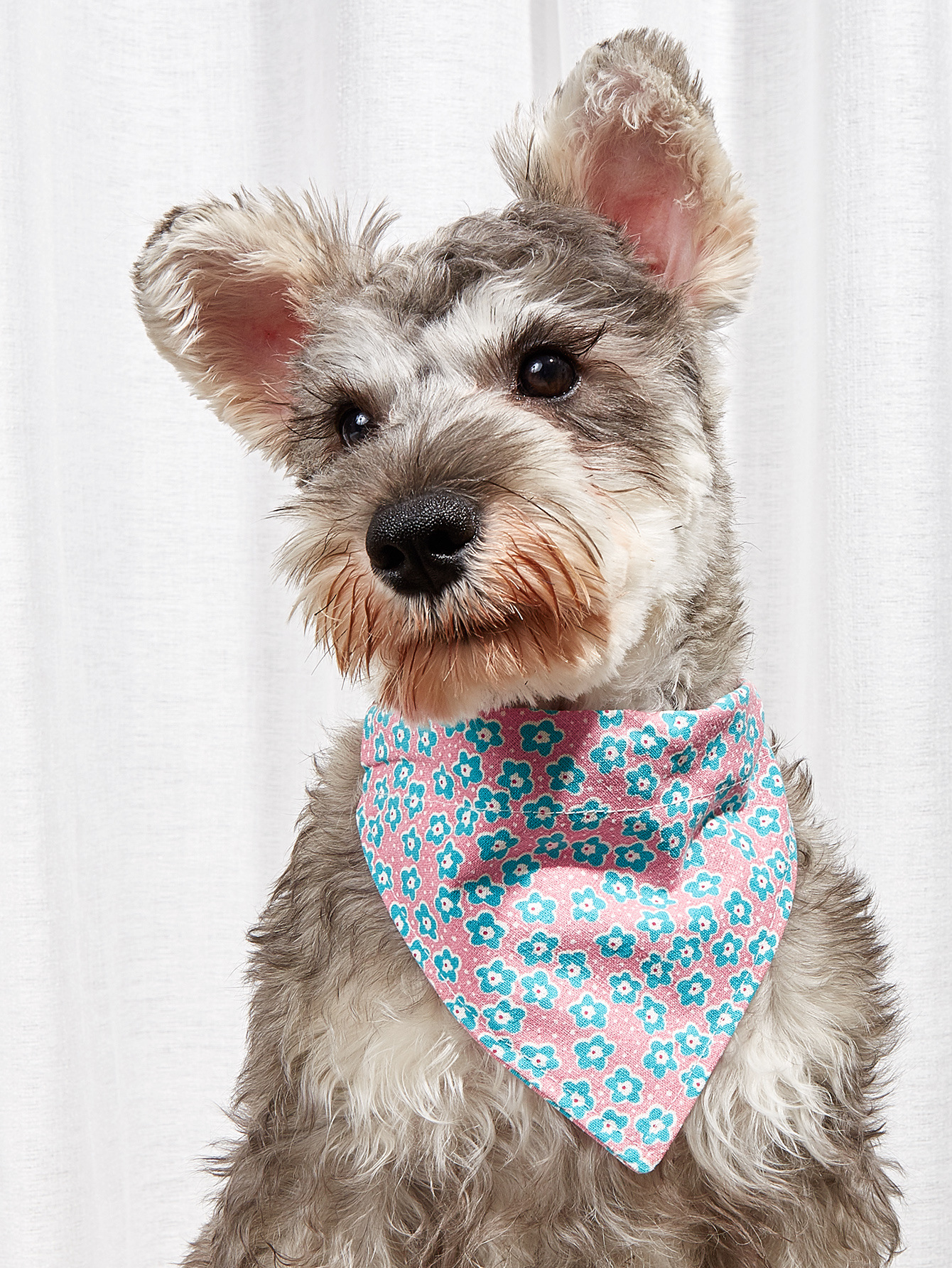 Pet Supplies Pet Saliva Towel Cartoon Pet Dog Collar Cat Triangle Towel Collar Pet Triangle Towel — image 2