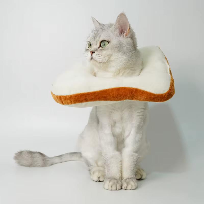 Collar de Recuperación para Mascotas con Forma de Pan — imagen 3