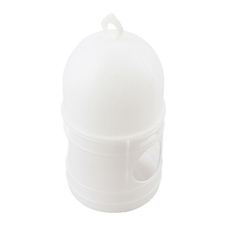 Pigeon Water Dispenser Thickened Kettle Large Capacity Water Feeder Domestic Racing Pigeon Feeding Tank Pigeon Supplies — image 1