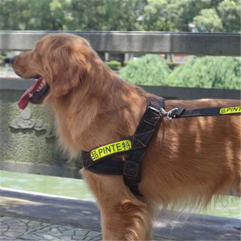 Cinturón de Refuerzo Reflectivo para Perros Cuerpo y Espalda — imagen 1