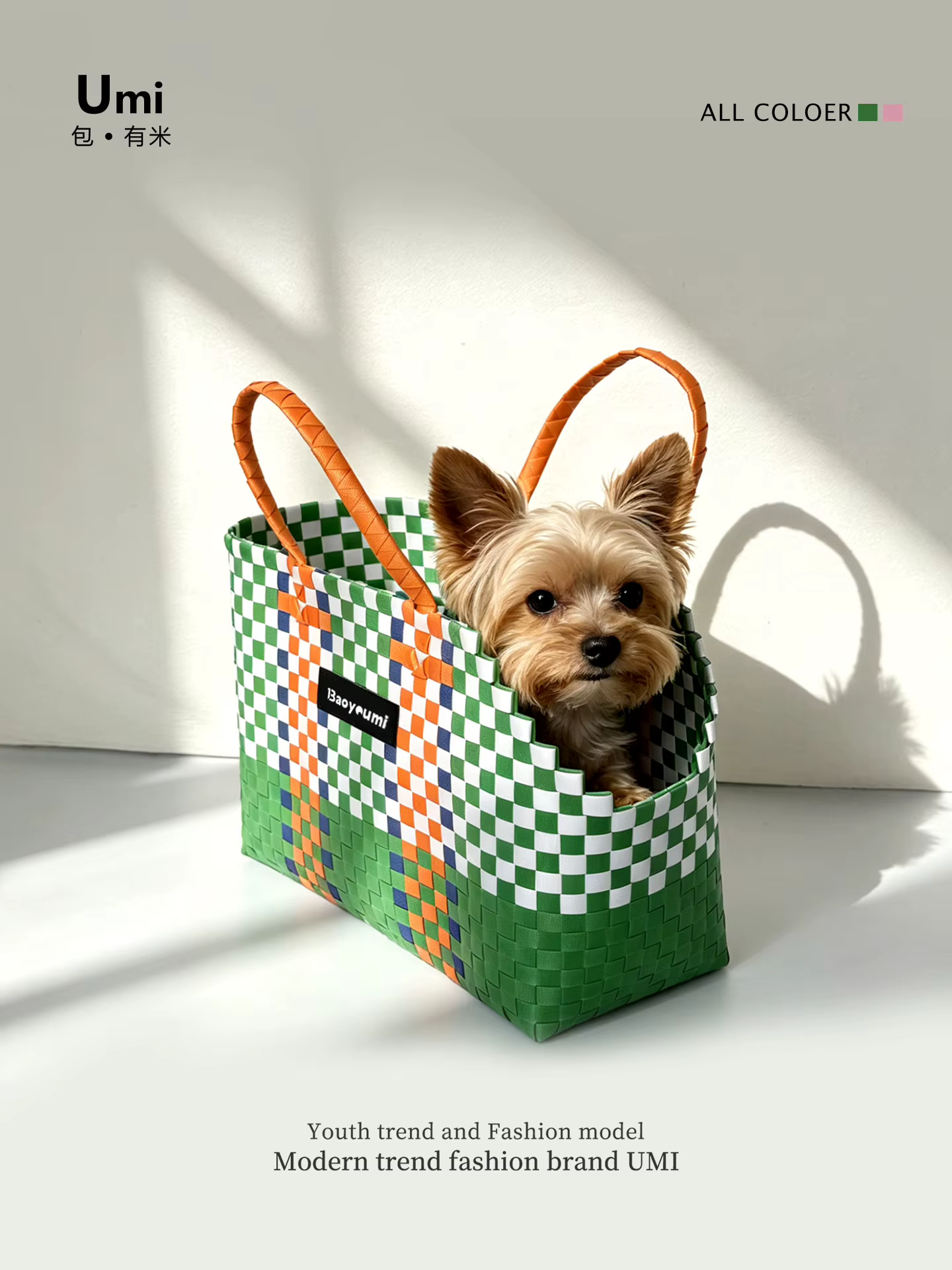 Hand-woven Pet Bag Small Dog Carrier Bags Poodle Pomeranian Yorkshire Terrier Puppy Accessories Transportin Gato Cat Carrier — image 2