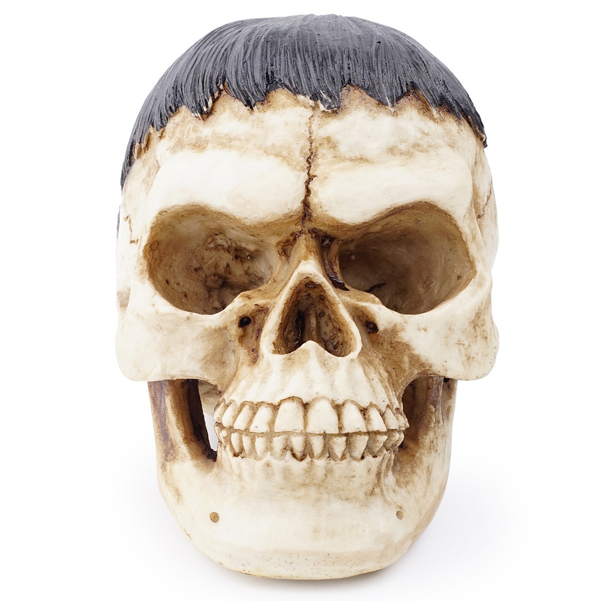Resin skull animal skull ornament