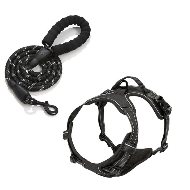 Cinturón de Pecho para Perros con Cierre Antichar y Cordel de Traction — imagen 16