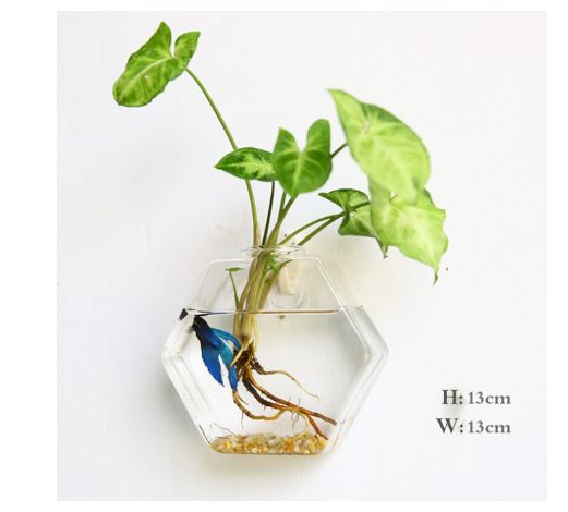 Vaso de Vidrio para Terrario Decorativo en Línea - Jardín Acuático para Hogar — imagen 34