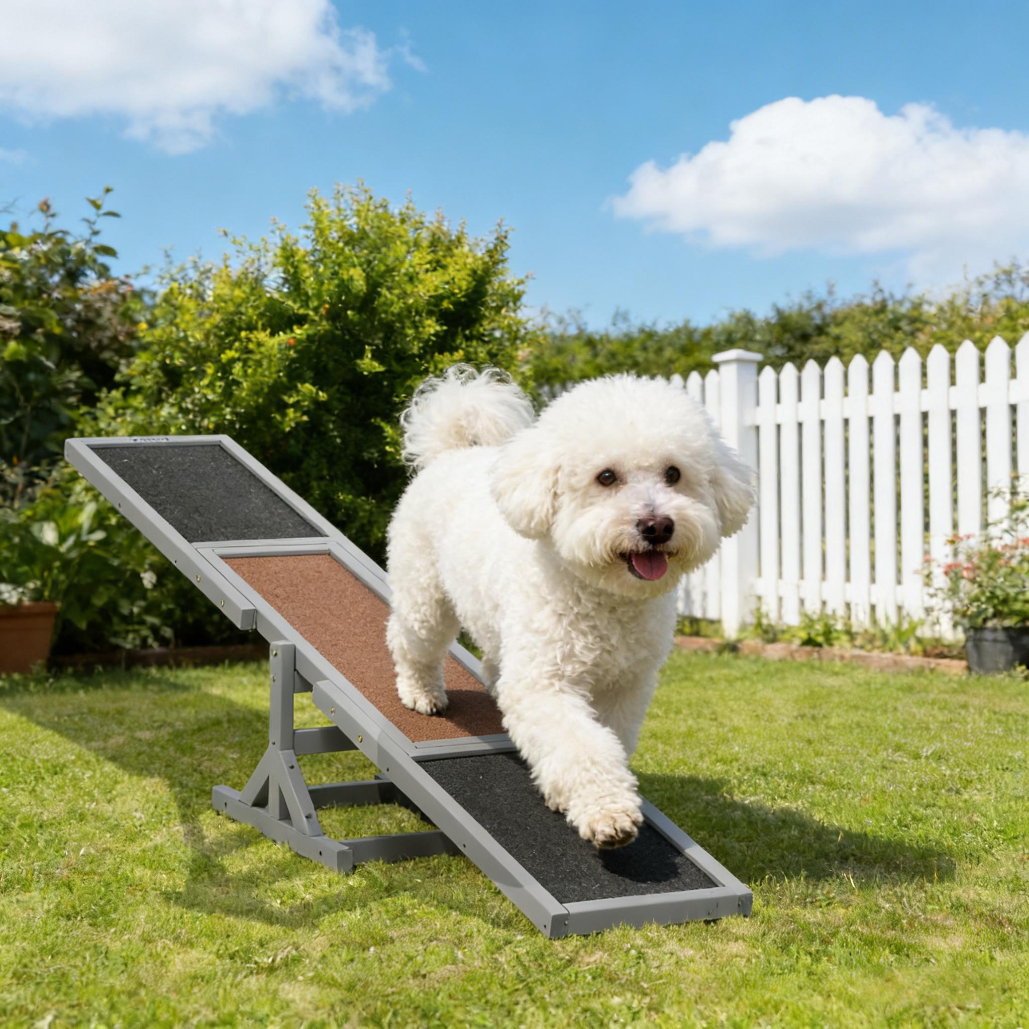 Viga de Agility de Madera, Viga de Agility para Perros, Viga de Agility para Mascotas — imagen 5