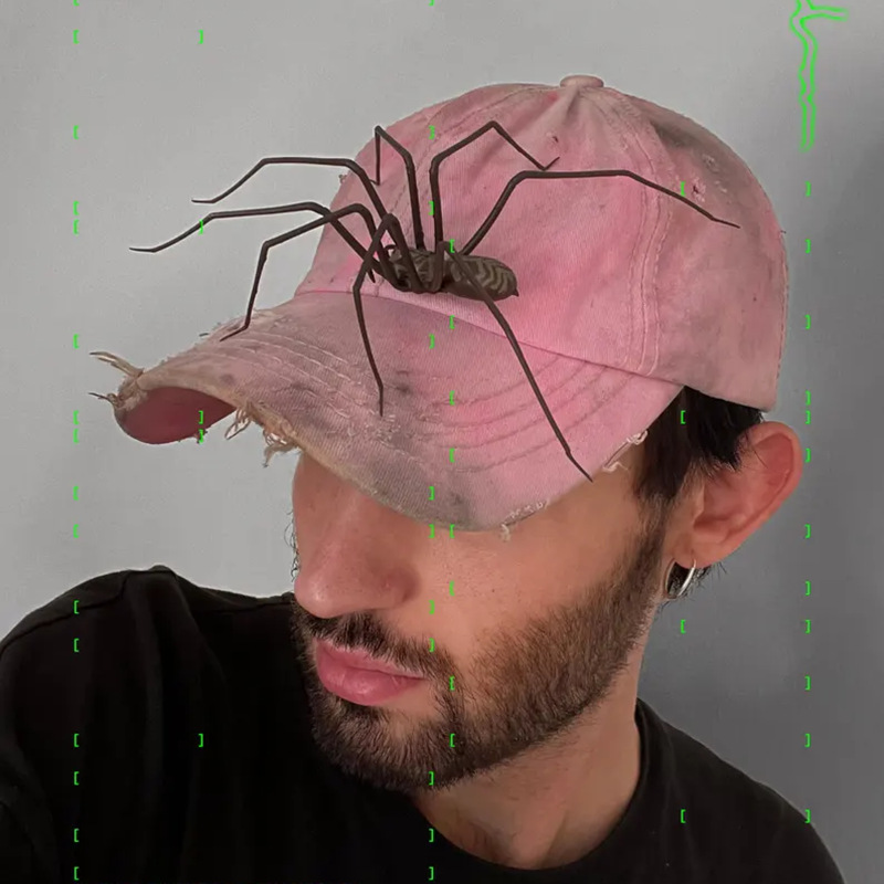 Plastic Spider as Decoration - Novelty Ornament — image 5