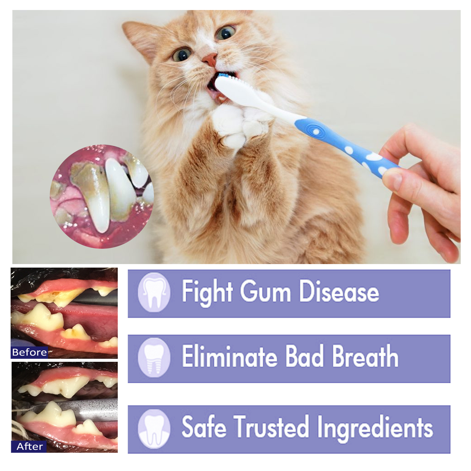 Pet V34 Toothpaste, Pet Clean Bad Breath Tartar Care Gum Care Toothpaste — image 5