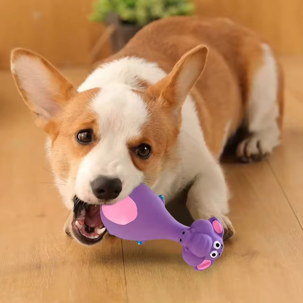 4 Piezas de Juguetes Masticables de Látex para Perros con Sonido, Juguetes Interactivos para Salud Dental, Suministros para la Dentición de Cachorros — imagen 3