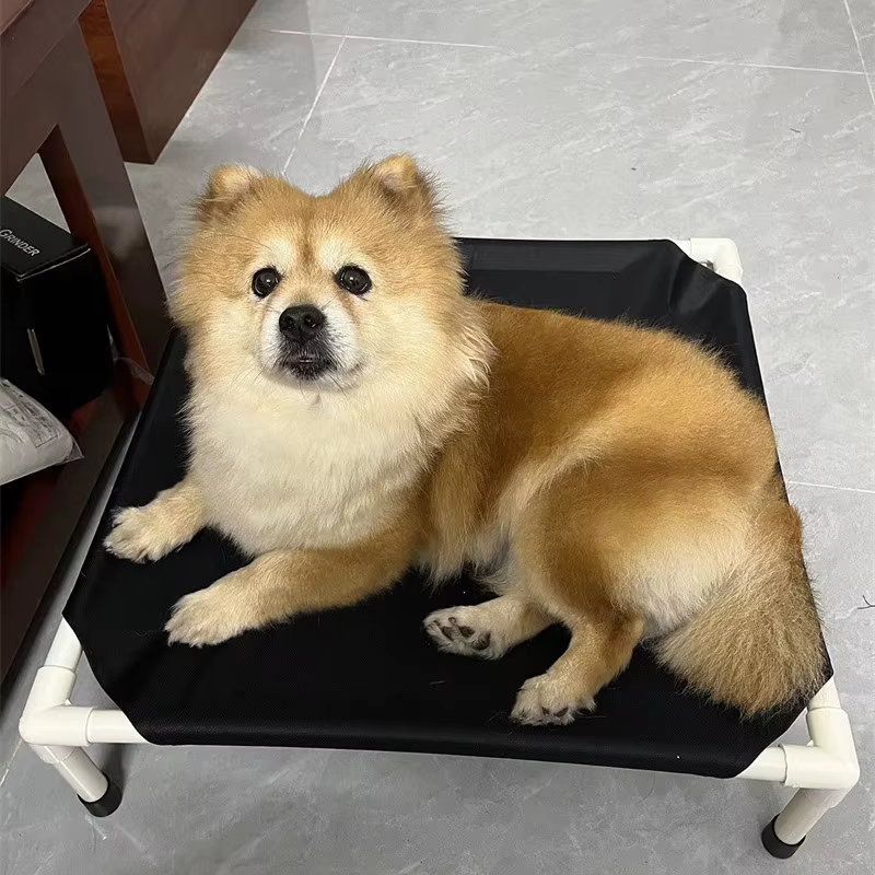 Cama de Acampada para Mascotas Cama Elevada para Perros Colapsable Casa para Gatos Portátil y Limpiable Camas para Puppies Hamaca para Perros — imagen 6