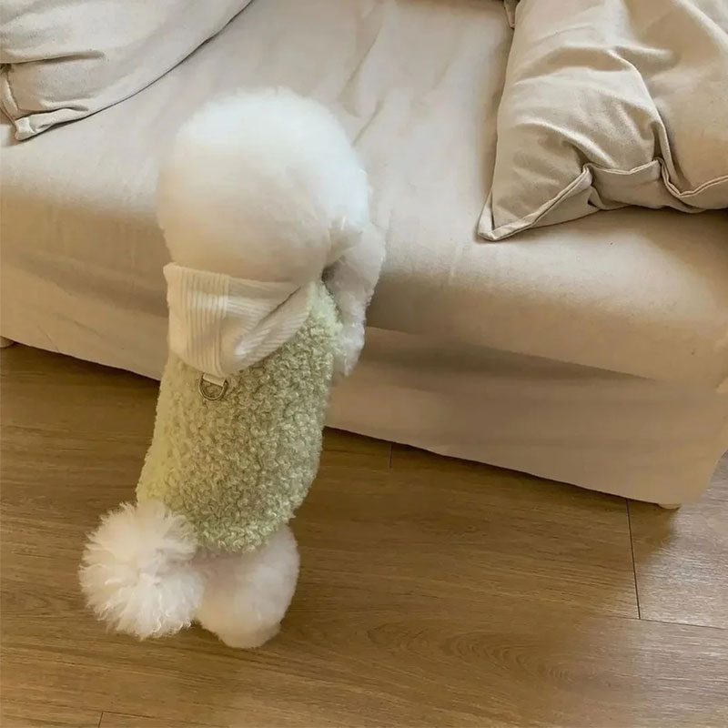 Pet Two-legged with Hat Coat Fashion Design Small Medium Dog Winter Warm Costumes Puppy Pet Cotton Clothes Chihuahua Vest — image 3