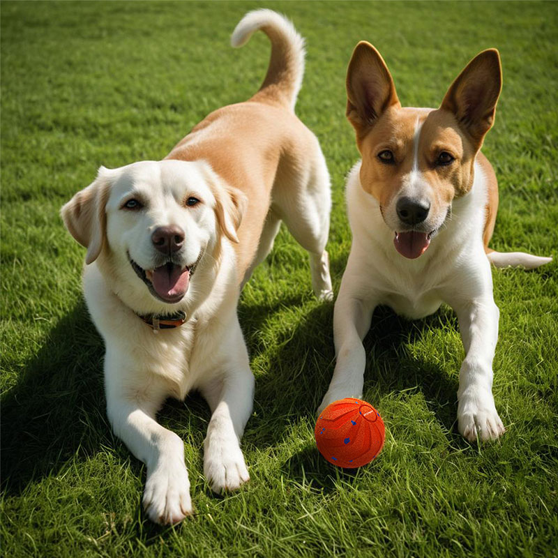 Pelota Interactiva para Perros: Materiales E-TPU, Movimiento Inteligente con Salto y Girar Aleatorio, Juguete Auténtico Resbalón y Chupón Seguro — imagen 7