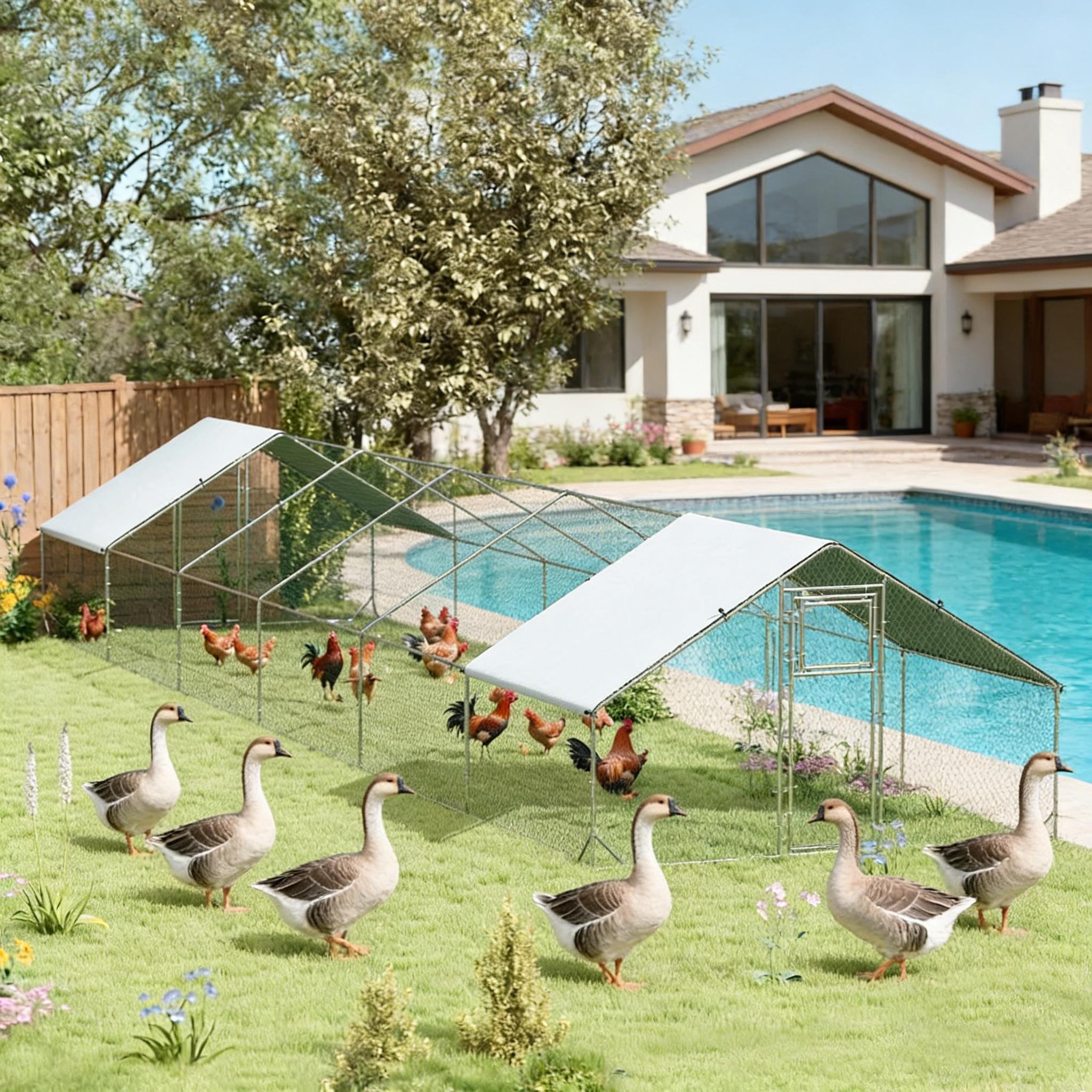Large Pet House, Chicken Coop, Outdoor Hen House, Duck House — image 1