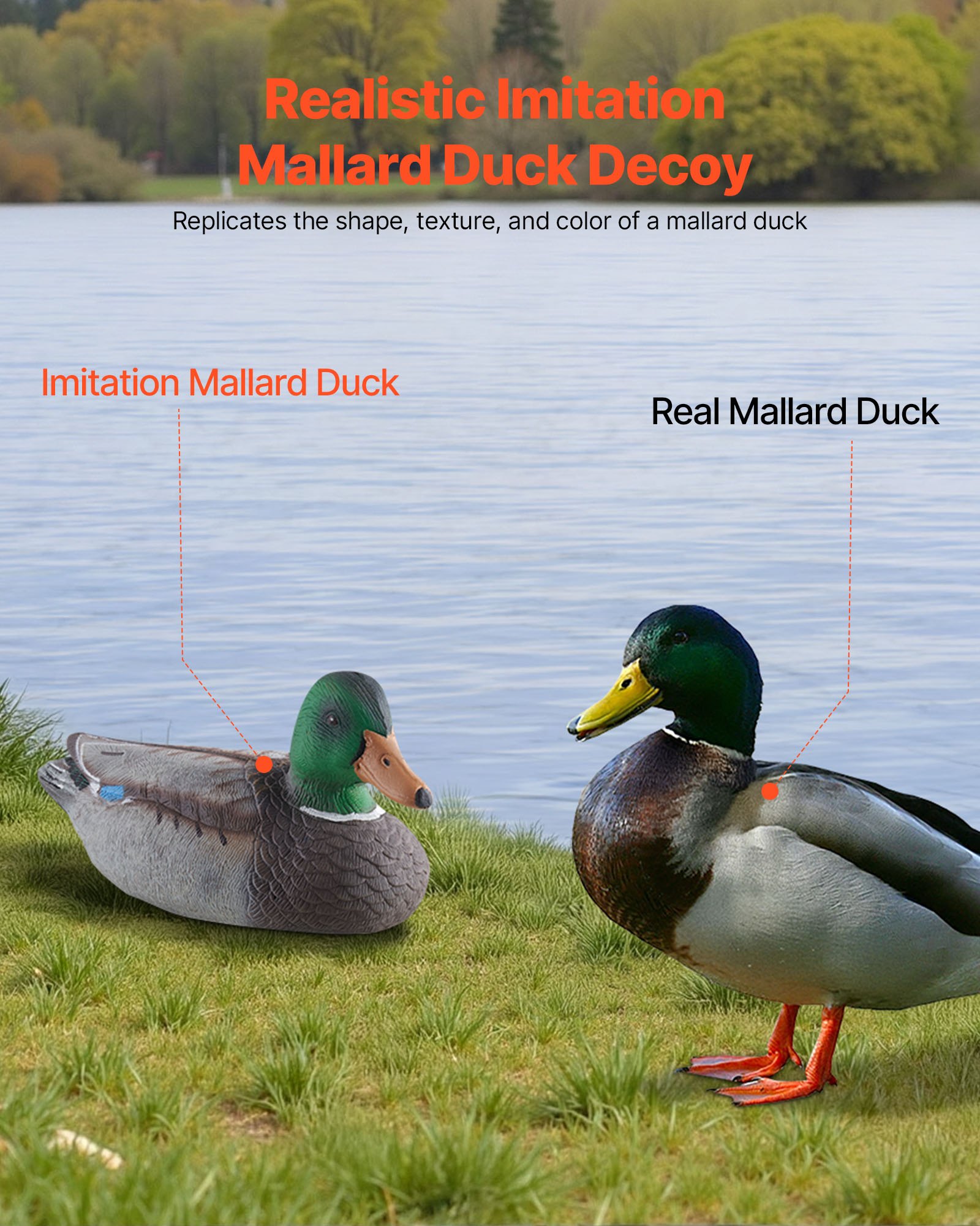 Decores de Pato Realistas: Decoyes Flotantes para Caza, Plástico Ligero y Resistente, 6-Paquete Completo — imagen 4