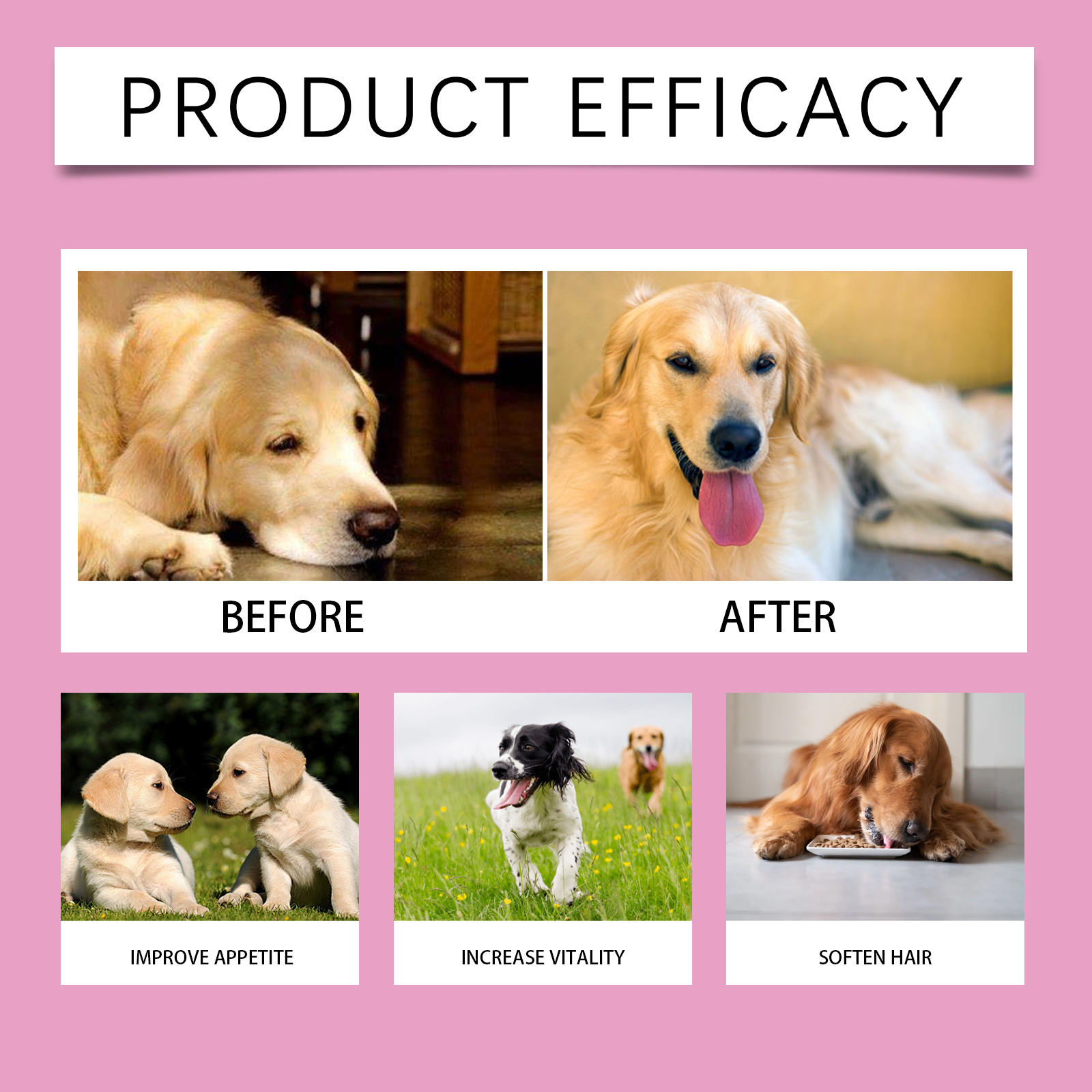 Dog Pre & Probiotic Digestive Care Tablets, Gut Health Supplement For Dogs, Supports Digestion, Immunity, Skin & Vision Health, 80 Chewable Tablets — image 2