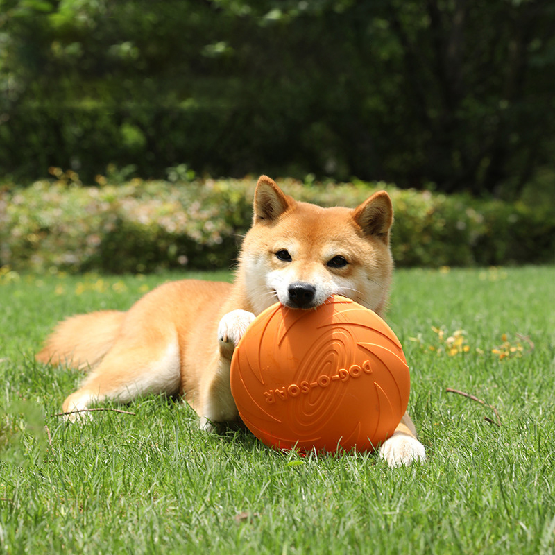 New Dog Frisbee Pet Toys Multi Plate Dog Bite resistant and Floating Training Outdoor Pet Products — image 1